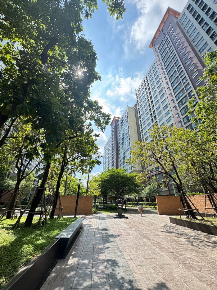 picture 🌿💫Rent Condo Lumpini Place Ratchayothin💫🌿 - 2/3