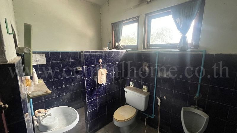 รูป บ้านเดี่ยว งามวงศ์วาน 43 แยก 7 ทำเลศักยภาพ เดินทางสะดวก ราคาถูก - รูปที่ 35/38