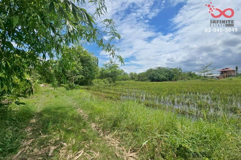 รูป ขายที่ดิน 300 ตร.ว. ตำบลขุนคง อำเภอหางดง เชียงใหม่ แปลงสวย ใกล้บ้านถวาย - รูปที่ 4/7