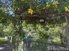 listing thumbnail image 37