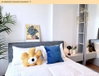 listing thumbnail image 1