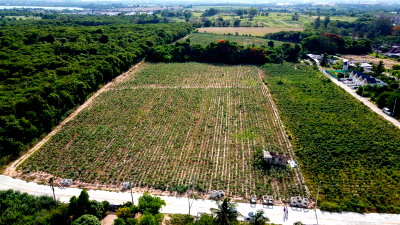 Land for sale Ammata City Industrial Estate : Beautiful plot of land for sale in Bowin, a prime location surrounded by leading housing projects.