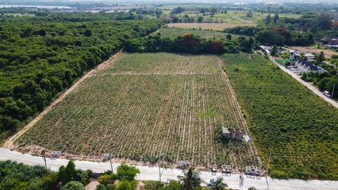 Beautiful plot of land for sale in Bowin, a prime location surrounded by leading housing projects.