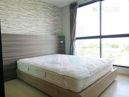 รูปภาพ For rent The Excel Groove Lasalle 52 1 bedroom 8th floor near BTS Bearing.