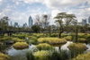 listing thumbnail image 17