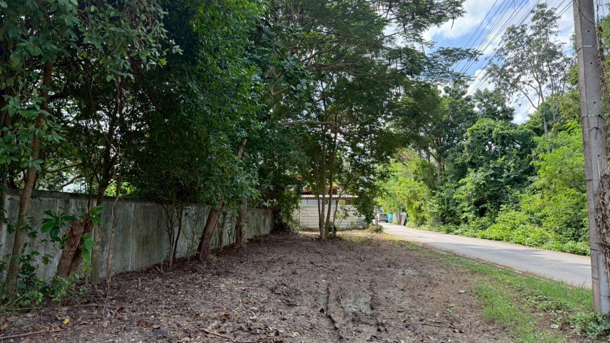 รูป ขายโกดังโรงงานทำเลดี 2อาคาร 5625ตรม. พื้นที่16ไร่2งาน ติดถนนดำ ผังเมืองสีชมพู เทศบาลเกาะพลับพลา อ.เมือง จ.ราชบุรี ( เจ้าของขายเองครับ ) - รูปที่ 7/11