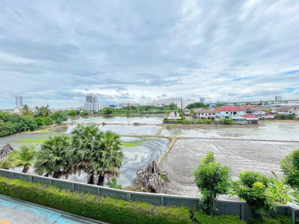 รูป 🔥ด่วน ห้องไปไวมากกก Code: 26KJ2906  ให้เช่า IRIS Westgate Bangyai ✅ Add Line @kjcondo (มี@ข้างหน้าด้วยนะคะ) - รูปที่ 15/20