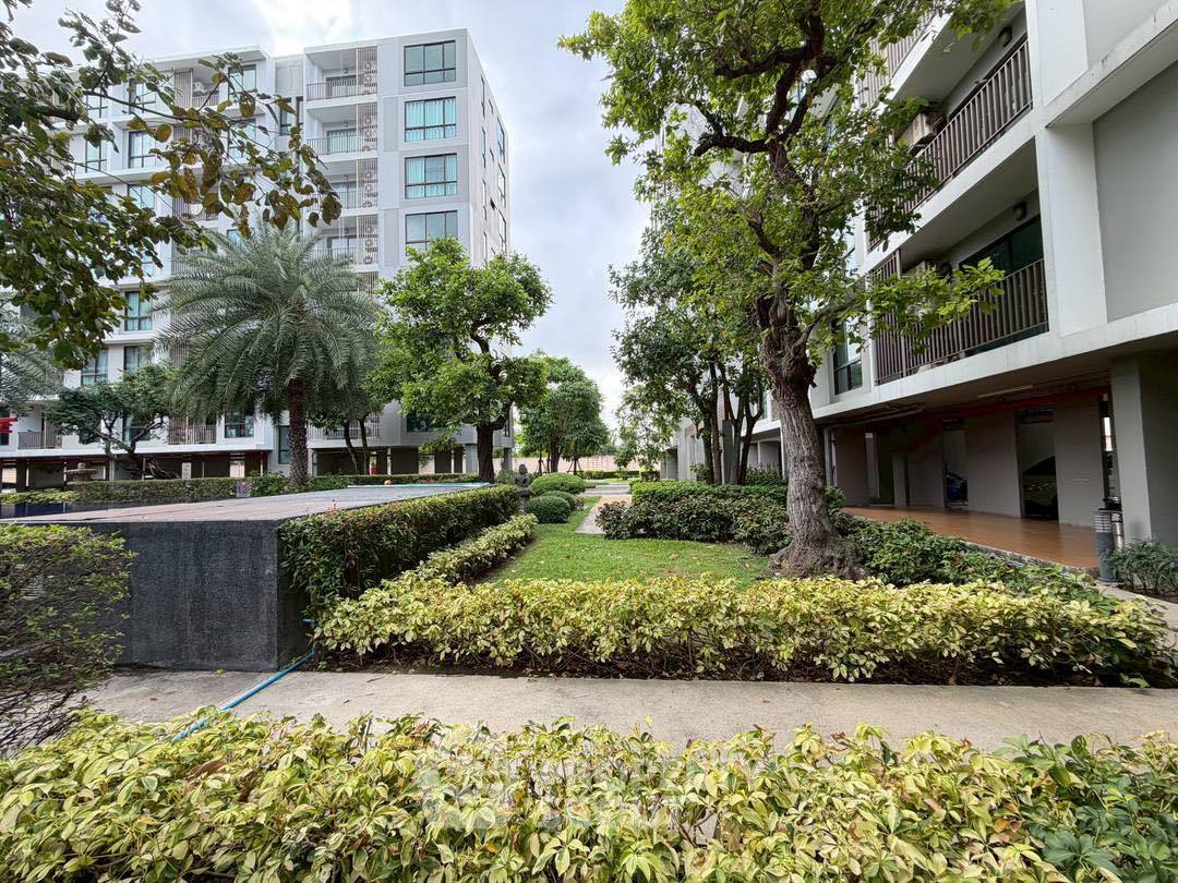 picture 1-BR Condo at Casa Condo Sriracha close to Assumption College Sriracha (ID 2969685) - 13/13