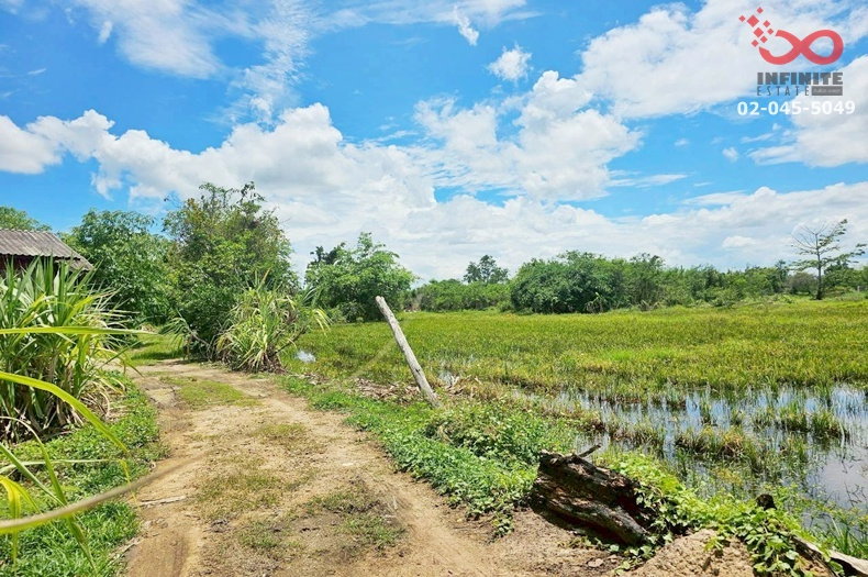 รูป ขายที่ดิน 300 ตร.ว. ตำบลขุนคง อำเภอหางดง เชียงใหม่ แปลงสวย ใกล้บ้านถวาย - รูปที่ 3/7