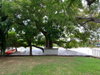 listing thumbnail image 51