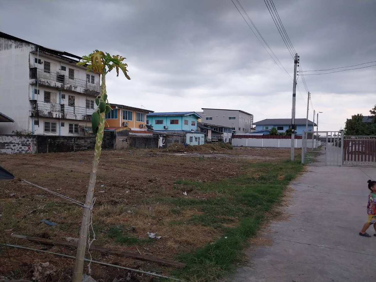 picture Land for Sale – Subdivided Plots (76 Sq.wah per Plot) Behind Future Park Rangsit - 6/10