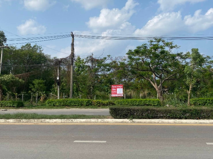 รูป ที่ดินสวยเชียงใหม่แปลงมุมสร้างสูงได้ ติด6เลนถนนพืชสวนโลก - รูปที่ 5/13