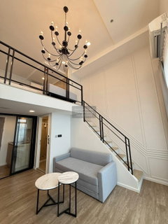 รูปภาพ For Rent Condo , Modiz Sukhumvit 50 , BTS-On Nut , Phra Khanong , Khlong Toei , Bangkok , CX-121577 ✅ Live chat with us ADD LINE @connexproperty ✅