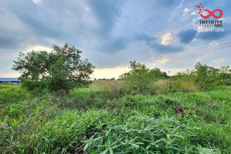รูป ขายที่ดิน 325 ตร.ว. คลองสี่ตะวันตก คลองหลวง ถนนคลองแอน ปทุมธานี   - รูปที่ 3/5