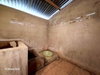 listing thumbnail image 31
