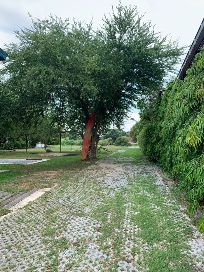 รูป ขายกิจการรีสอร์ท บ้าน 2 หลัง บางไทร อยุธยา รวมที่ดินทั้งหมด 627 ตรว บรรยากาศริมน้ำ พร้อมดำเนินกิจการต่อ - รูปที่ 3/54