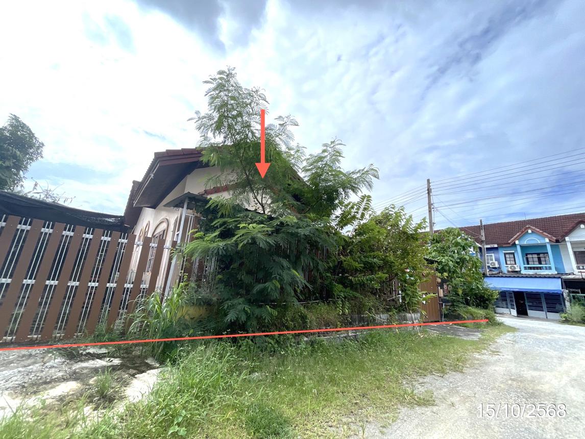 รูป บ้านเดี่ยว 70 ตร.วา ระยองซิตี้ปาร์ค เมืองระยอง ระยอง 2.2M - รูปที่ 9/16