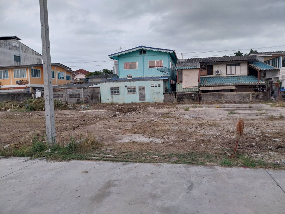 picture Land for Sale – Subdivided Plots (76 Sq.wah per Plot) Behind Future Park Rangsit - 2/10