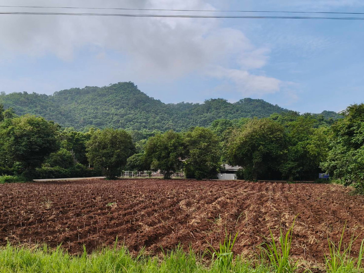 รูป ขายที่หนองน้ำแดง เขาใหญ่ ใกล้ธนะรัชต์ 3 ไร่ วิวเขาสวยล้อมรอบ ใกล้ภูเขา ใกล้มอเตอร์เวย์ M6 เดินทางสะดวก ใกล้ตัวเมืองปากช่อง ตลาดร้านค้า โรงพยาบาล - รูปที่ 4/6