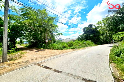 ที่ดิน ม.นอร์ท-เชียงใหม่ : ขายที่ดิน 300 ตร.ว. ตำบลขุนคง อำเภอหางดง เชียงใหม่ แปลงสวย ใกล้บ้านถวาย