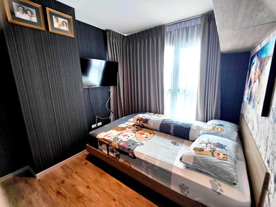 คอนโดให้เช่า : For Rent: Modern 1-Bedroom Condo at Aspen Condo Lasalle | 36 Sq.m. | Fully Furnished | THB 12,500/Month