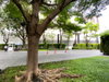 listing thumbnail image 37