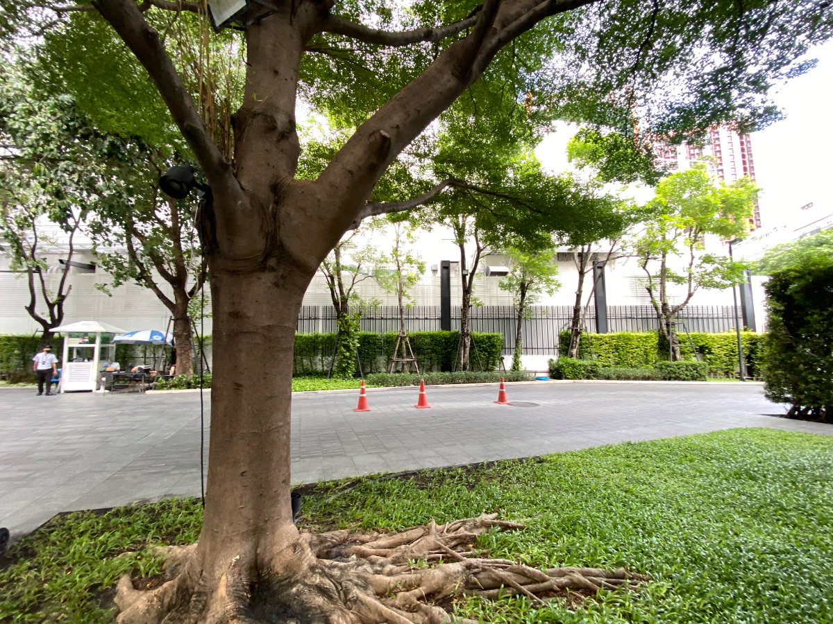 รูป ขายด่วน ขายต่ำกว่าราคาประเมิน The Room Sukhumvit 69 เพียง 100 เมตรจาก BTS พระโขนง พร้อมเฟอร์นิเจอร์และเครื่องใช้ไฟฟ้าครบชุด - รูปที่ 38/38