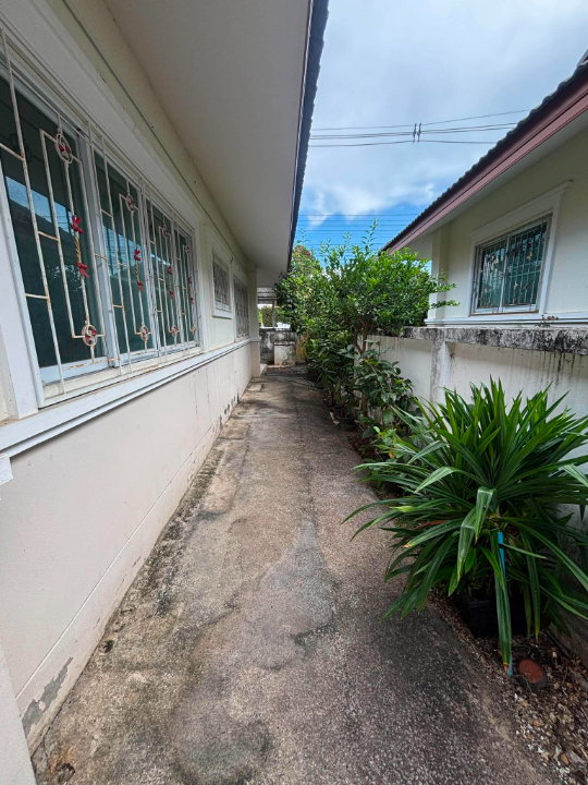 รูป 🏡 บ้านสวย สภาพดี พร้อมอยู่ | โครงการสมหวัง ควอลลิตี้เฮ้าส์ สันผักหวาน - รูปที่ 14/15