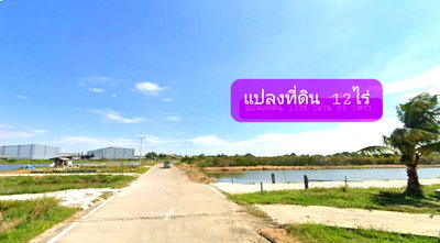 ที่ดิน นิคมบางพลี :  ขายที่ดินผังเมืองสีม่วง แปลงใหญ่ 12ไร่ ทำเลคลองส่งน้ำสุวรรณภูมิ บางบ่อ สมุทรปราการ