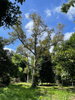 listing thumbnail image 4