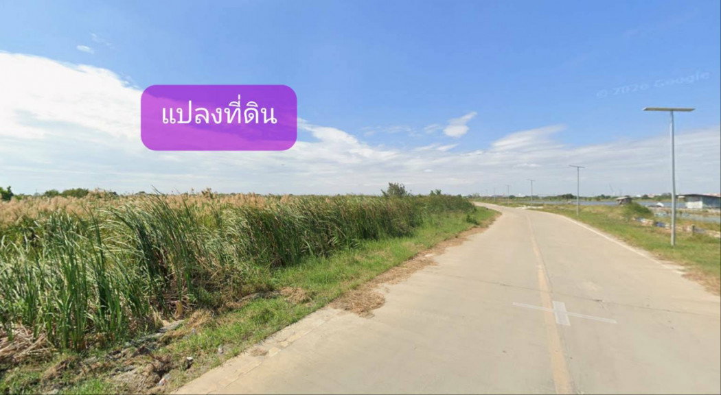 รูป ขายที่ดินผังเมืองสีม่วง แปลงใหญ่ 12ไร่ ทำเลคลองส่งน้ำสุวรรณภูมิ บางบ่อ สมุทรปราการ - รูปที่ 5/5