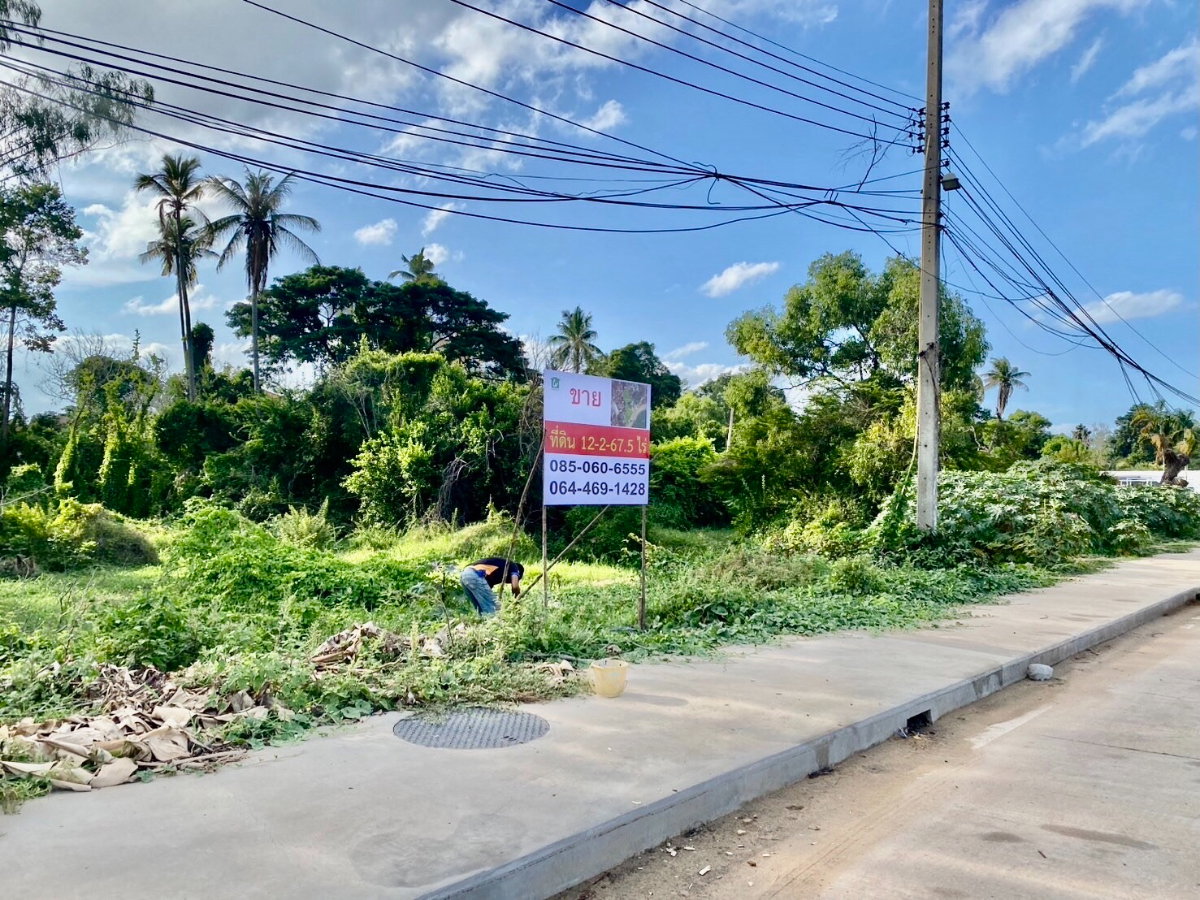 รูป ขายราคาประเมินธนารักษ์ ที่ดิน 12 ไร่ ใกล้สนามบินอุบลราชธานี ติดอ่างเก็บน้ำห้วยวังนอง ติดถนนอุบล-ตระการ - รูปที่ 8/12