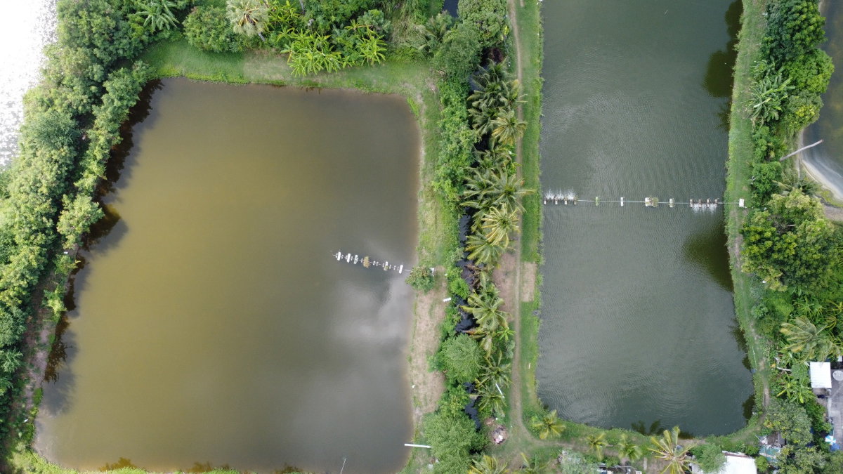 รูป ขายด่วน! ที่ดินแปลงใหญ่ นครชัยศรี ทำเลดีมาก ใกล้ทางด่วน M81  - รูปที่ 7/8