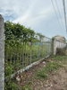 listing thumbnail image 9