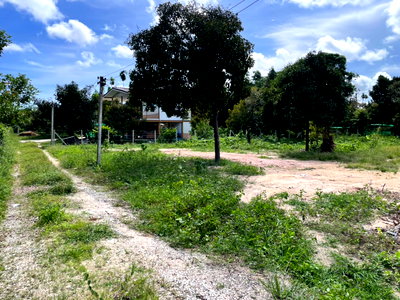 ที่ดิน หาดแม่รำพึง : ขายที่ดิน 1 ไร่ ตะพง เมืองระยอง ใกล้ตลาดผลไม้ตะพง ใกล้เมืองใช้ชีวิตอยู่ได้จริง เหมาะสำหรับอยู่ในวัยเกษียณ 