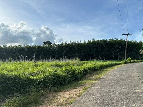 ขายที่ดินสวนทำเลสวย เหมาะกับทำโรงงานหรือเกษตรกรรม ใกล้ถนนเพชรเกษม 200เมตร
