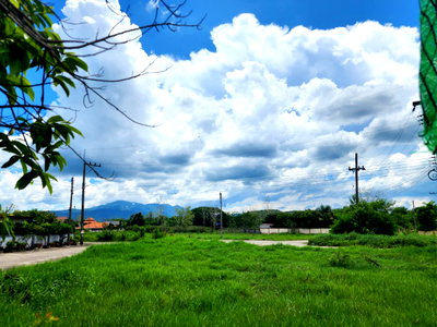 ที่ดิน แม่ริม เชียงใหม่ : ที่ดินมีโฉนด อ.แม่ริม จ.เชียงใหม่