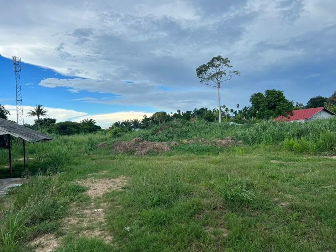 รูป ขายที่ดินบางเสร่ 3 ไร่ 45 ตร.ว. หน้ากว้าง 86 ม. ถมแล้ว มีบ้านพักพร้อมทะเบียนบ้าน ใกล้ถนนสุขุมวิท 500 ม. ตรงข้ามทะเล - รูปที่ 6/11