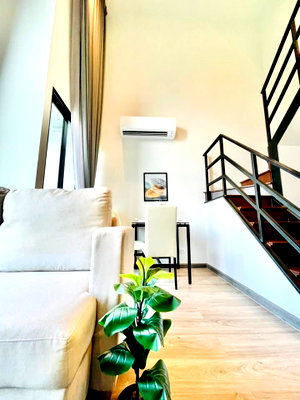 Condos for rent : Condo for Rent at The Collect Ratchada 32 (B6906006)