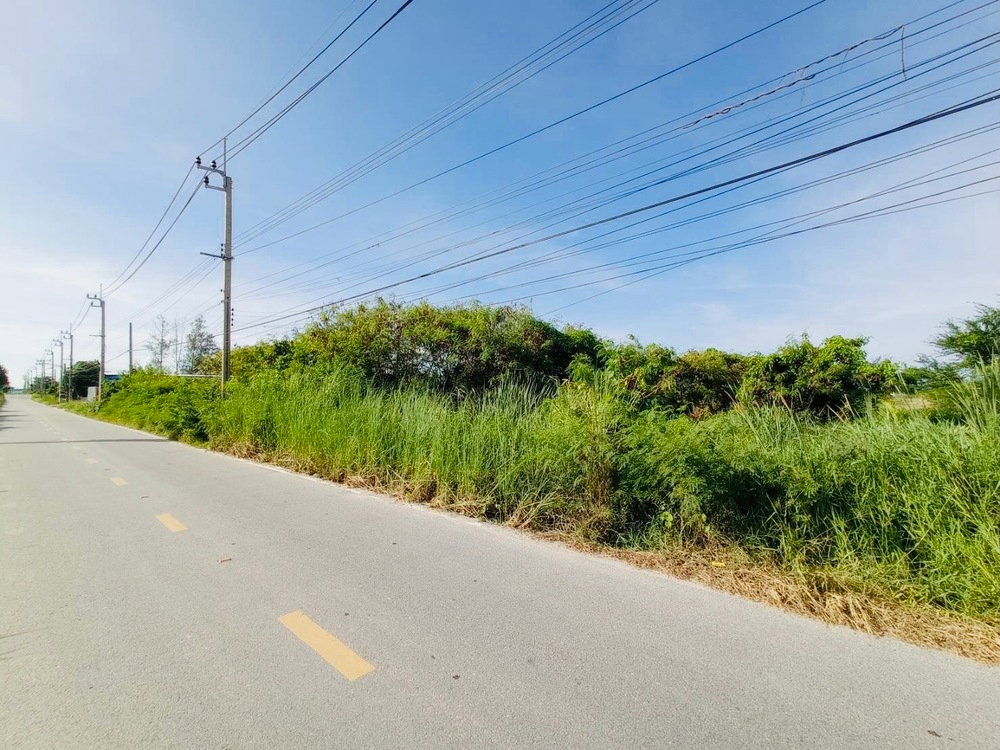 รูป ขายที่ดินบางเพรียง ต่ำกว่าราคาประเมิน - รูปที่ 2/8
