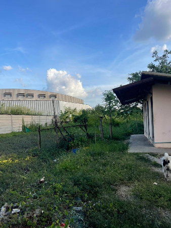 picture Land with buildings + house + warehouse, including factory license (Form 4). - 6/12