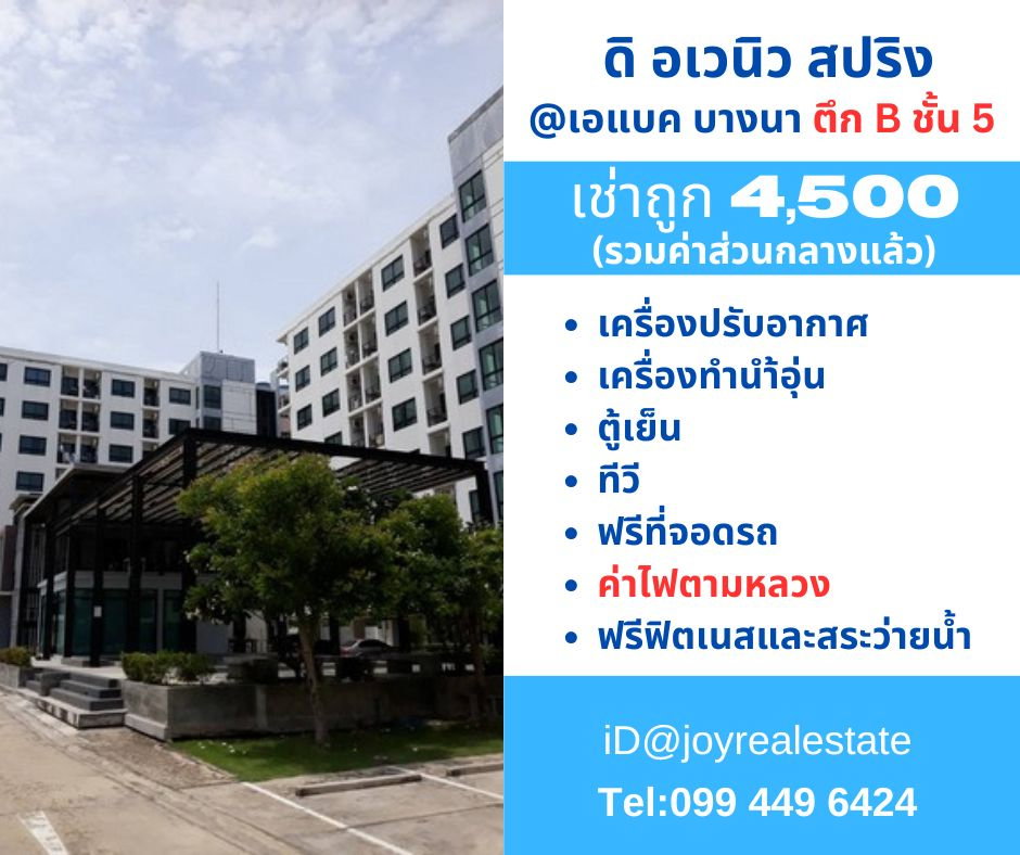 picture The Avenue Spring for rent the best price. - 1/11
