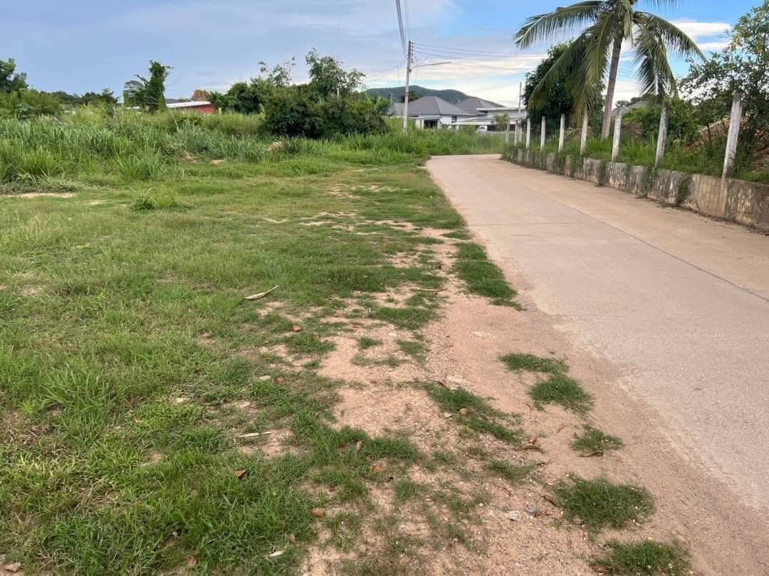 รูป ขายที่ดินบางเสร่ 3 ไร่ 45 ตร.ว. หน้ากว้าง 86 ม. ถมแล้ว มีบ้านพักพร้อมทะเบียนบ้าน ใกล้ถนนสุขุมวิท 500 ม. ตรงข้ามทะเล - รูปที่ 9/11