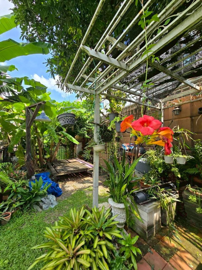 รูป ขาย บ้านเดี่ยว ลัดดารมย์ วัชรพล เฟส 3 ขนาด 108 ตร.ว. พื้นที่ใช้สอย 250 ตร.ม. 4 ห้องนอน 3 ห้องน้ำ 2 จอด ใกล้ด่วนสุขาภิบาล 5 คุณเจษฎ์ 089-987-2251 - รูปที่ 17/17
