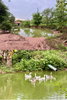 listing thumbnail image 18