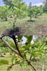 listing thumbnail image 20