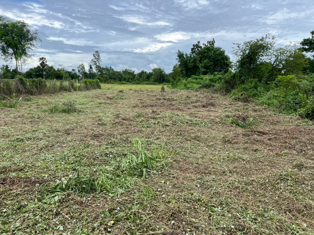 รูป ขายที่ดิน 143 ตร.ว. ถมแล้วเต็มพื้นที่ มีโฉนด ตำบลสาริกา ด้านหน้าติดนถนคอนกรีต ขายถูก - รูปที่ 14/18