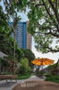 listing thumbnail image 21