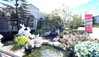 listing thumbnail image 32