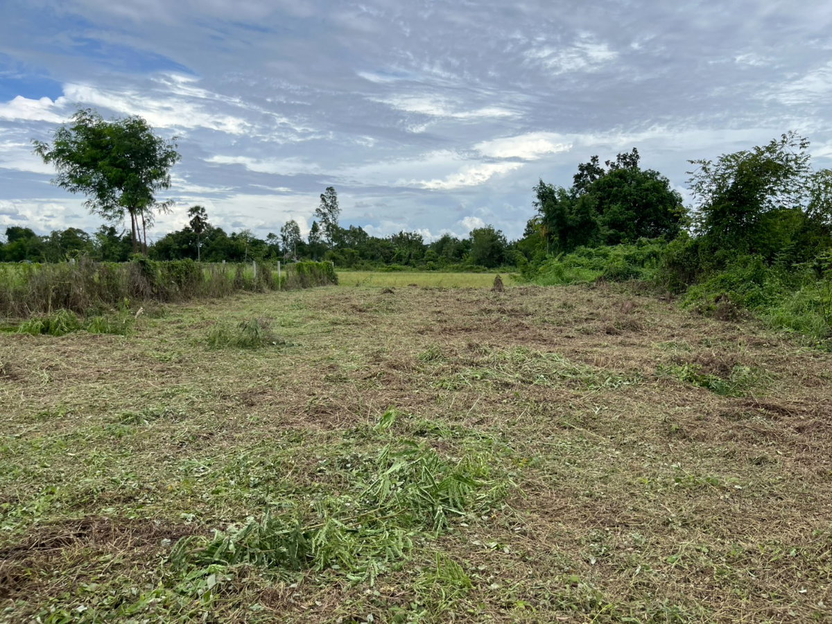 รูป ขายที่ดิน 143 ตร.ว. ถมแล้วเต็มพื้นที่ มีโฉนด ตำบลสาริกา ด้านหน้าติดนถนคอนกรีต ขายถูก - รูปที่ 15/18